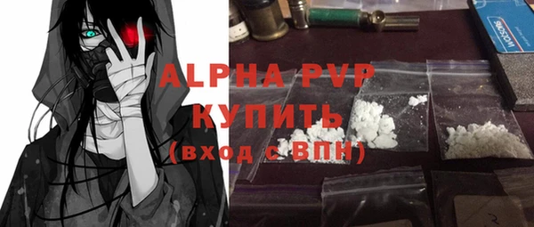 шишки Каменногорск