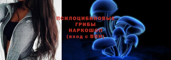 хмурый Касимов