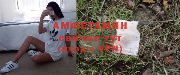 скорость Каменка