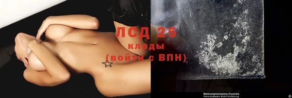 шишки Каменногорск