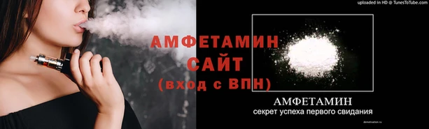шишки Каменногорск