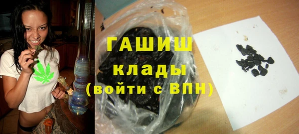 шишки Каменногорск
